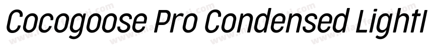 Cocogoose Pro Condensed LightIta字体转换